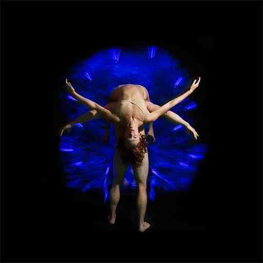 Pilobolus re:CREATION